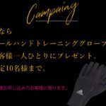 新キャンペーン＆新プラン(コスパ最強)